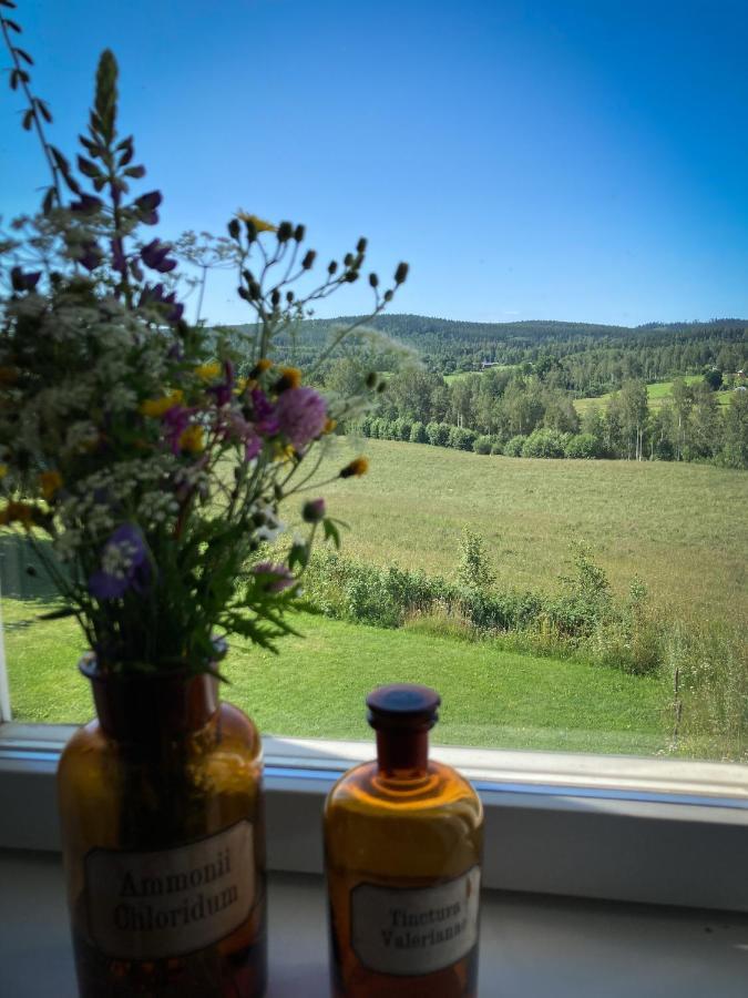 Stilleben Hotell Åmot Eksteriør bilde